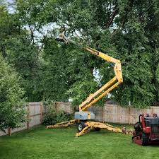 Professional Tree Removal in Semmes, AL