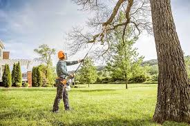 Best Tree Cabling and Bracing  in Semmes, AL