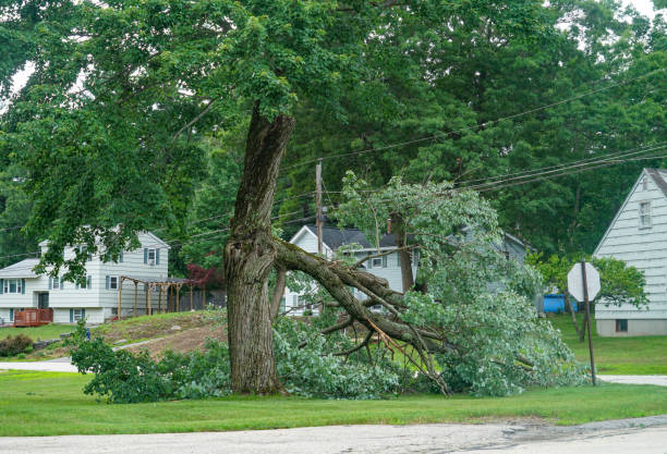  Semmes, AL Tree Removal Pros